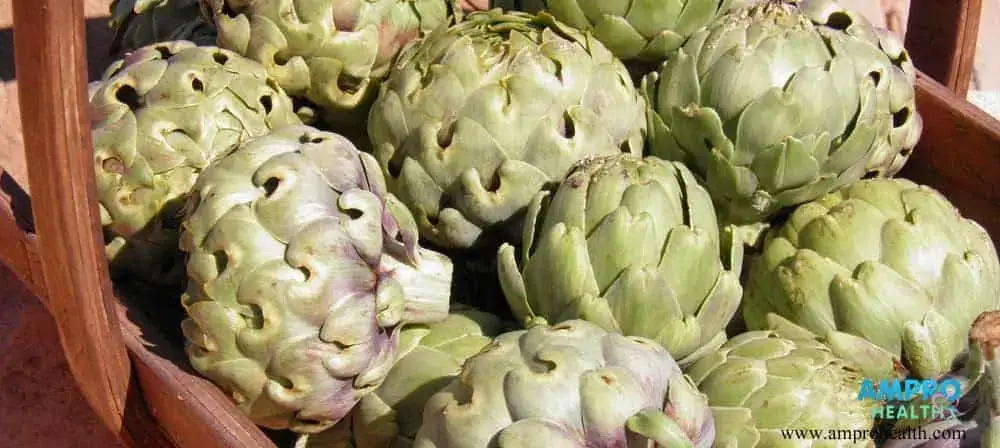 ประโยชน์ดีๆจากอาร์ติโชค (Artichoke) ประโยชน์ดีๆจากอาร์ติโชค (Artichoke)