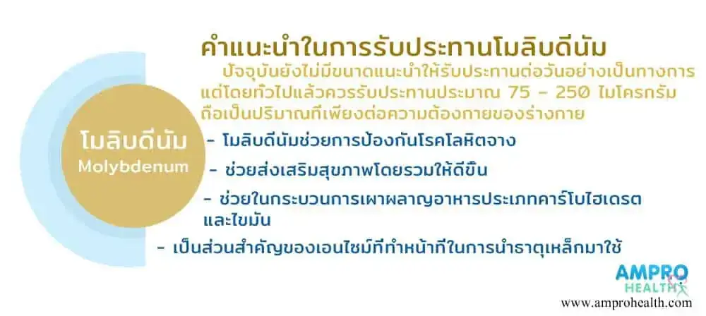 แร่ธาตุโมลิบดินัมสำคัญอย่างไร? (Molybdenum) แร่ธาตุโมลิบดินัมสำคัญอย่างไร? (Molybdenum)