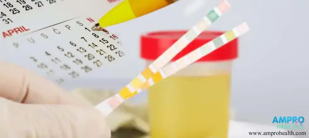 การตรวจปัสสาวะหาค่า Urine P-Amylase การตรวจปัสสาวะหาค่า Urine P-Amylase
