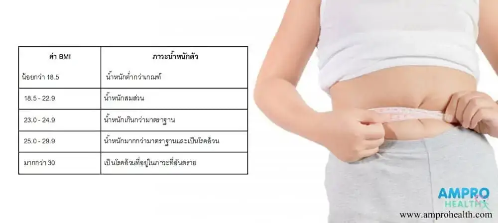 ไขมันศาสตร์พิชิตไขมันส่วนเกิน ไขมันศาสตร์พิชิตไขมันส่วนเกิน