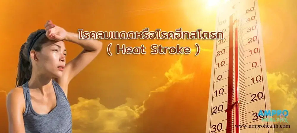 โรคลมแดดหรือโรคฮีทสโตรก ( Heat Stroke ) โรคลมแดดหรือโรคฮีทสโตรก ( Heat Stroke )