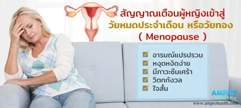 10 สัญญาณเตือนผู้หญิงเข้าสู่วัยหมดประจำเดือน หรือวัยทอง ( Menopause ) 10 สัญญาณเตือนผู้หญิงเข้าสู่วัยหมดประจำเดือน หรือวัยทอง ( Menopause )