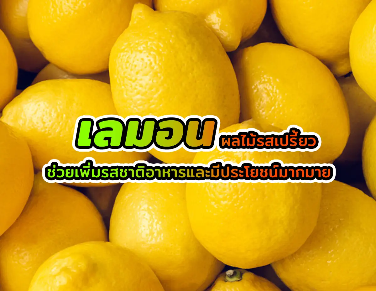 เลมอน 1 - เลมอน ผลไม้รสเปรี้ยวช่วยเพิ่มรสชาติอาหารและมีประโยชน์มากมาย เลมอน