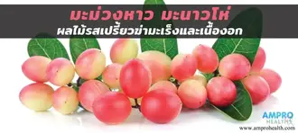 มะม่วงหาวมะนาวโห่ ผลไม้รสเปรี้ยวฆ่ามะเร็งและเนื้องอก มะม่วงหาวมะนาวโห่ ผลไม้รสเปรี้ยวฆ่ามะเร็งและเนื้องอก
